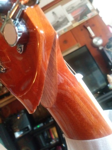 ギター DeliciousTaylormade BeeAround Rosso LTD Wine Red Headless Electric Guitar with Tremolo Arm & HSH