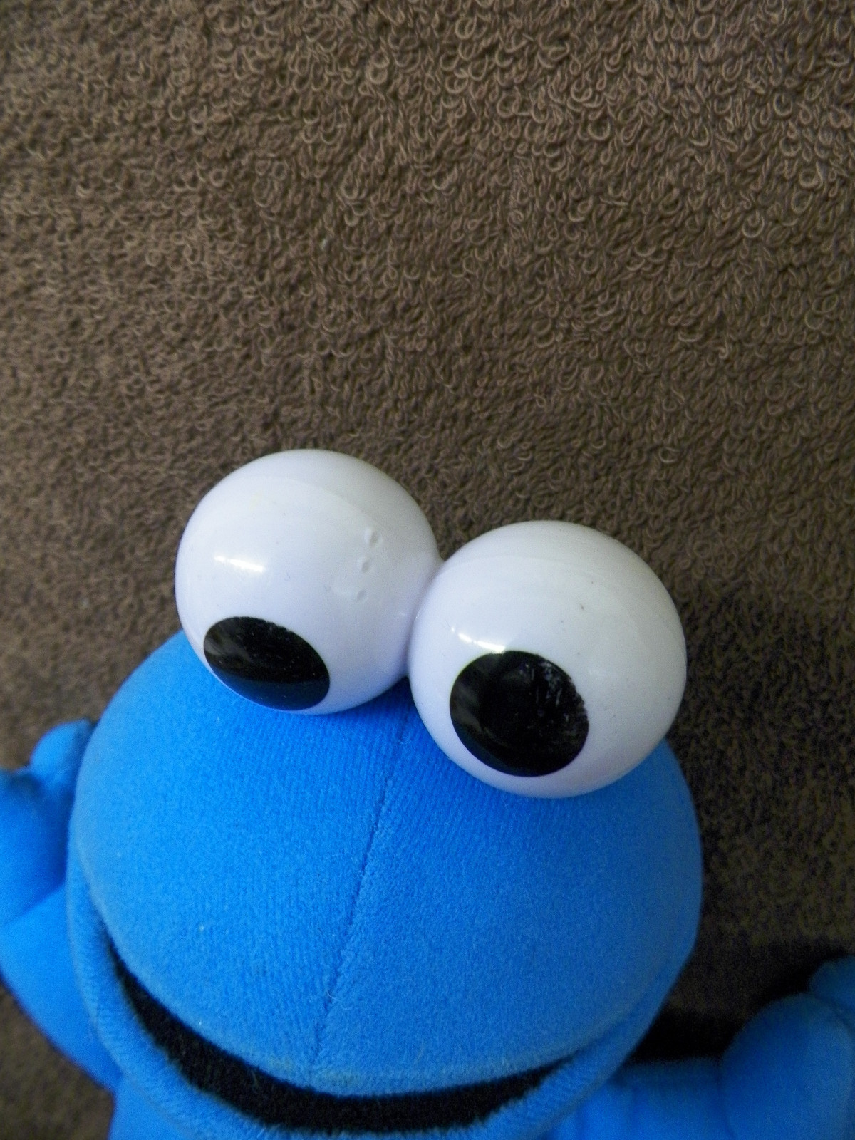 Sesame Street Cookie Monster 11