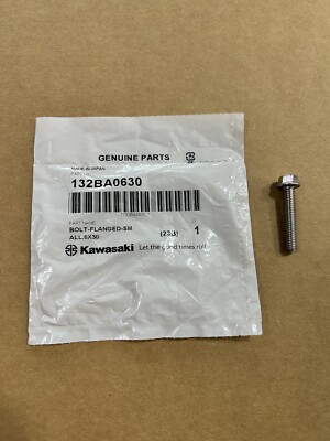 Kawasaki Oem 6x30mm Flange Bolt 132BA0630 Kx 80 85 100 125 250 500 Kdx 200 220R