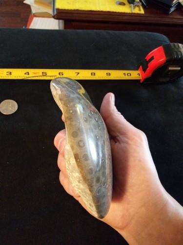 Petoskey Stone. 24.15 OZ. Ultra Polish.