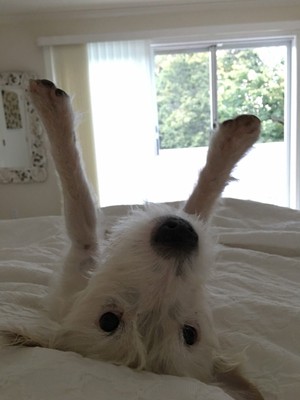 WOMENS BLACK LEATHER RHINESTONE BALLROOM JAZZ DANCE HEELS SHOES SIZE 10 M