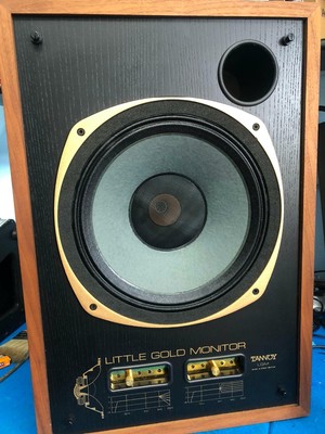 tannoy lgm 12