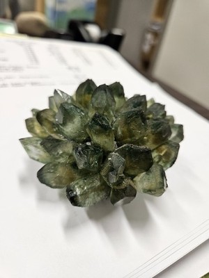 Fotos del artículo de un comprador verificado