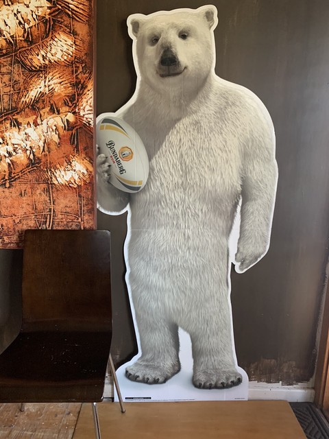 Bundaberg Rum Bear | Collectables | Gumtree Australia Playford Area