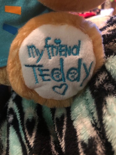 My Friend Teddy Plush Soft Interactive Talking Bear