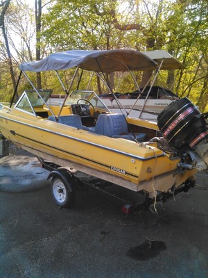 Arrowglass Cougar yellow speed boat with trailer and 65HP Mercury motor