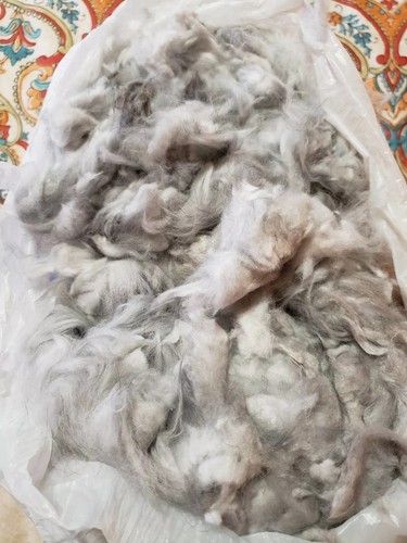 English Angora Rabbit fiber Raw Prime Wool 11 ounces Light grey white & black