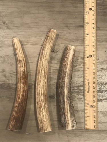 LARGE Elk/Deer Antler Premium Dog Chew (1pc) **OREGON ANTLER WORKS**