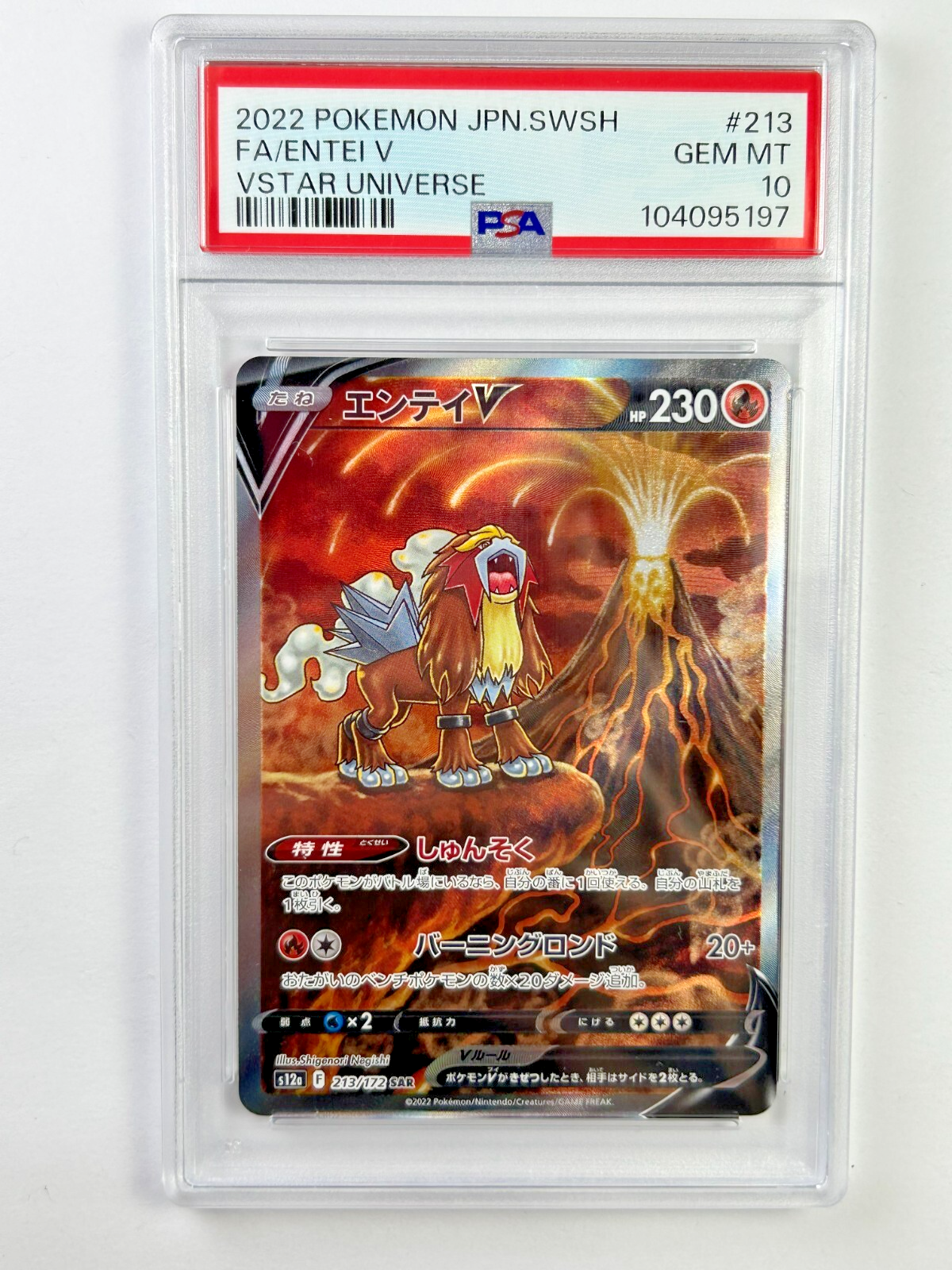 Entei V SAR 213/172 s12a VSTAR Universe HOLO Pokemon Card