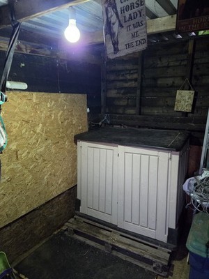 Artikelfoto(s) von einem verifizierten Käufer