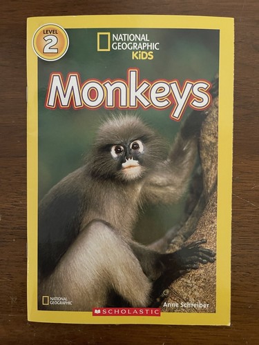 絵本・児童書 National Geographic Kids nonfiction sigh A Zebra's Day (National Geographic Kids Readers, Pre-Reader