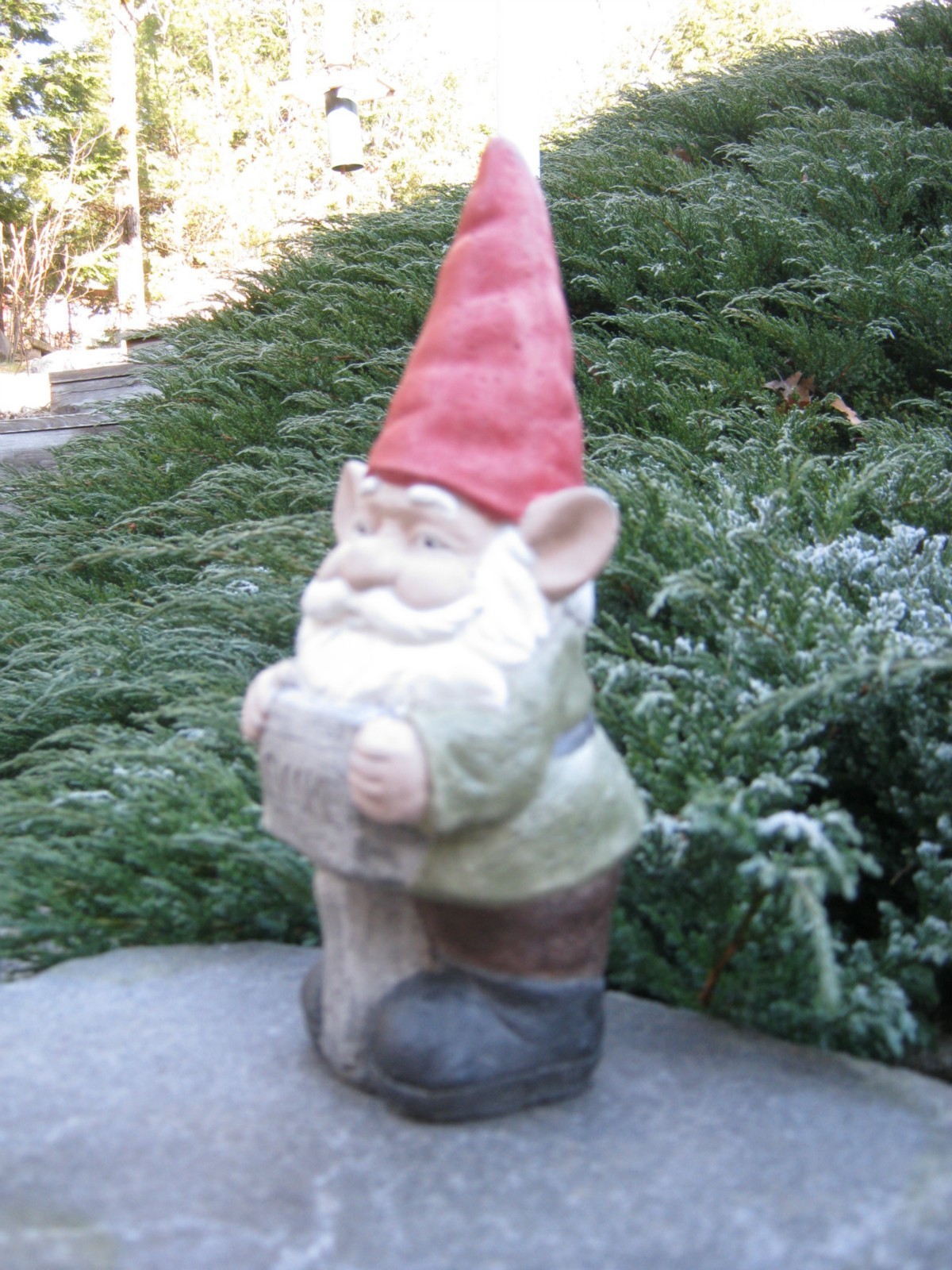 Welcome Garden Gnome 