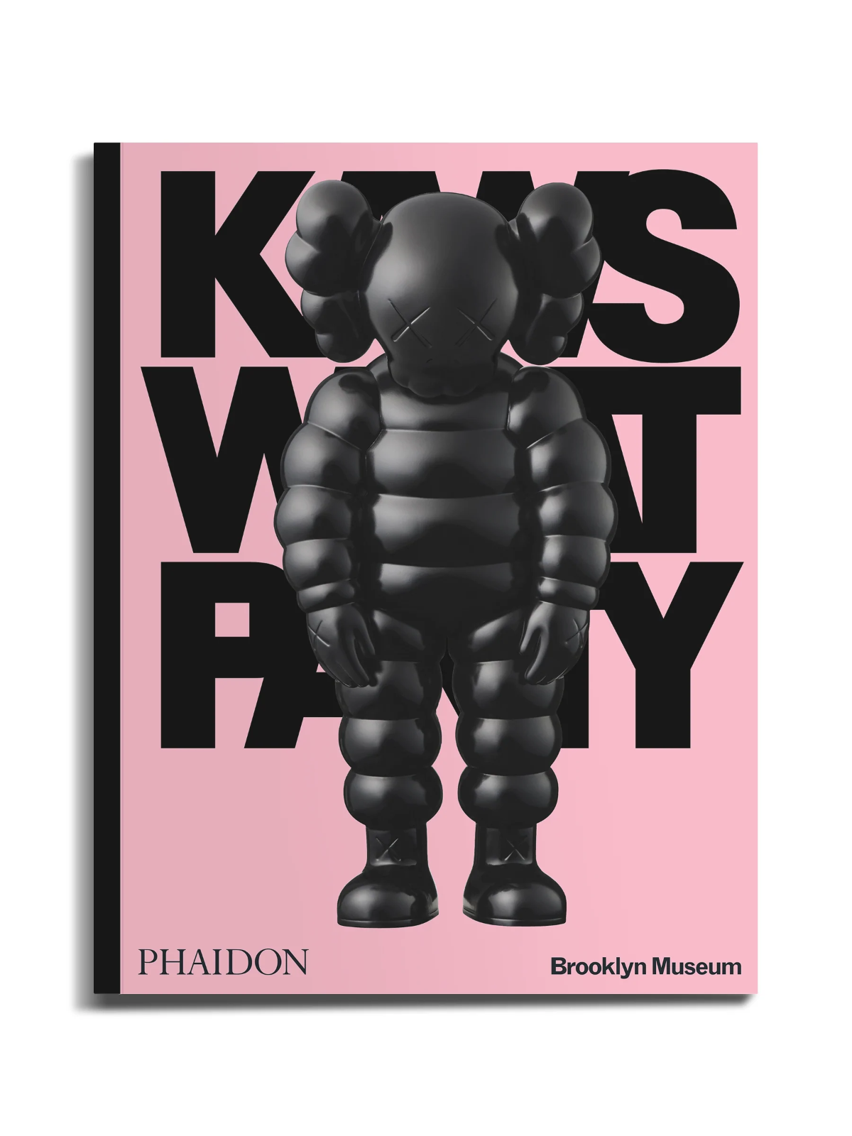 NEW KAWS 
