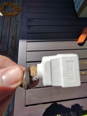 Item photo(s) from verified buyer