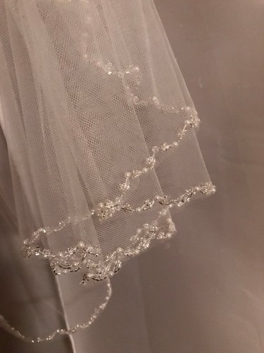 NEW $85 Bride Gorgeous Delicate Intricate Beaded Romantic Wedding Veil