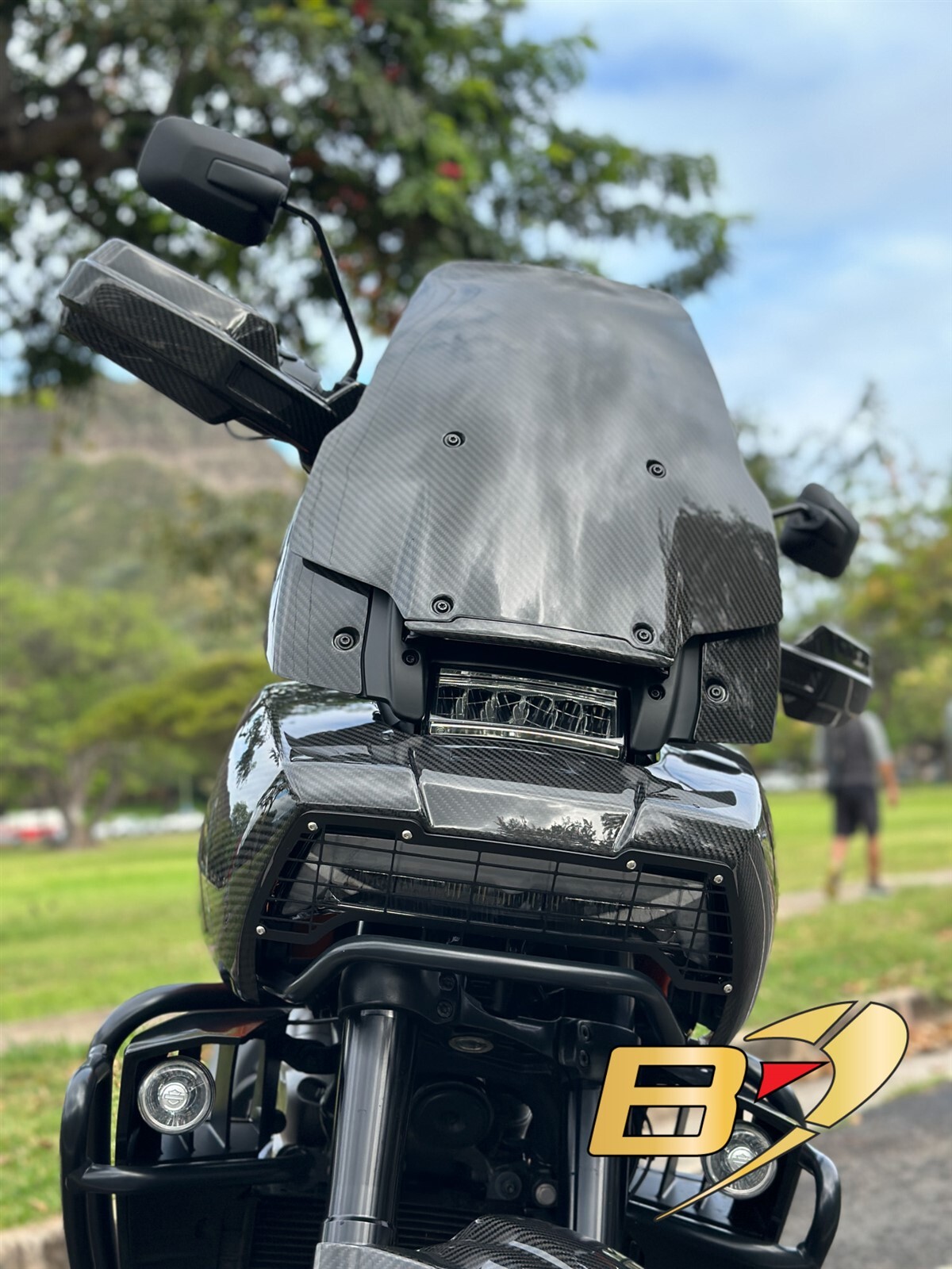 Harley Davidson Pan America 1250 2021+ Carbon Fiber Front