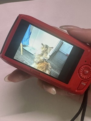 Fotos del artículo de un comprador verificado