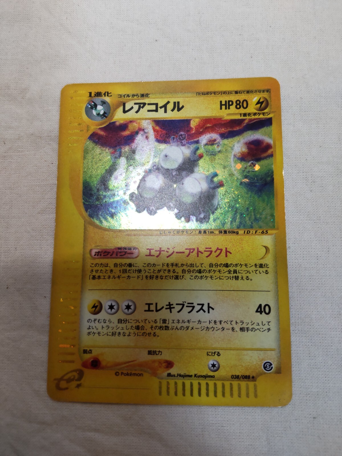 ポケモン - ミヨシ【サプライ】 $_57.JPG?set_id=8800005007