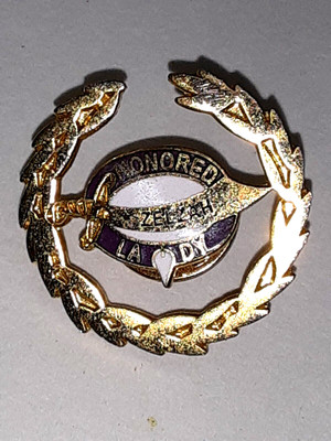 vintage  MASONIC Shriner HONORED LADY enameled LAPEL PIN