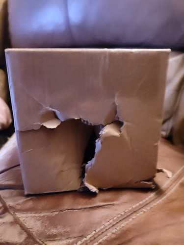 Item photo(s) from verified buyer