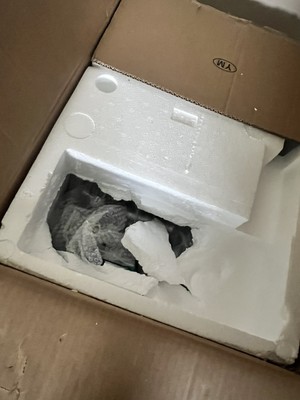 Fotos del artículo de un comprador verificado
