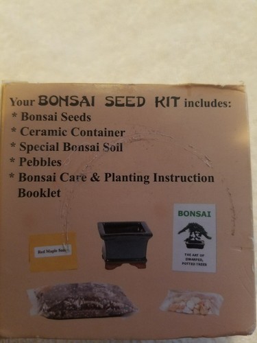 NEW Eve's Miniature Elm Bonsai Seed Kit Woody Complete to Grow from SHIPS FREE