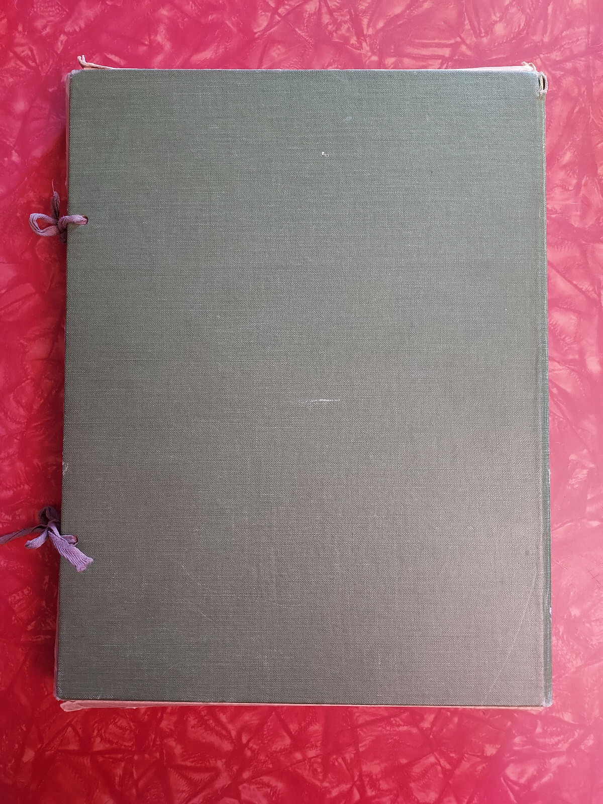 Vintage Wildflowers of New York Art Prints - 1921 1st Ed - NM or MINT