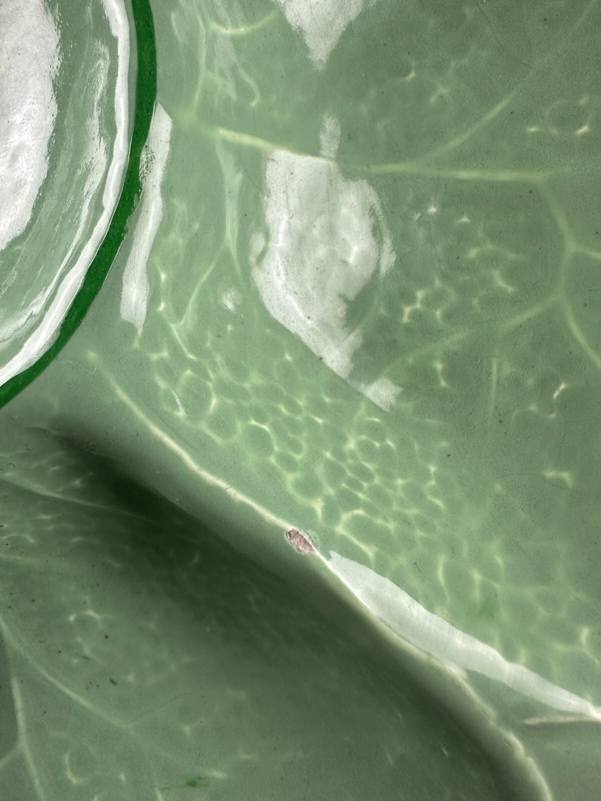 Mintons Green Cabbage Leaf Oyster Horderves Serving Dish Plate 27 cm Wide