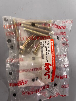 NEW GENUINE DUCATI ST4 ST3 ST2 SPORTTOURING REAR SIDE COWL MOUNT SCREW 77056192B