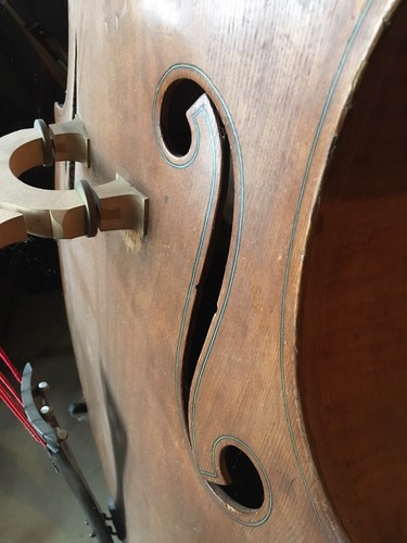 Vintage Kay 5 String Upright Bass S-51 Chubby Jackson Model