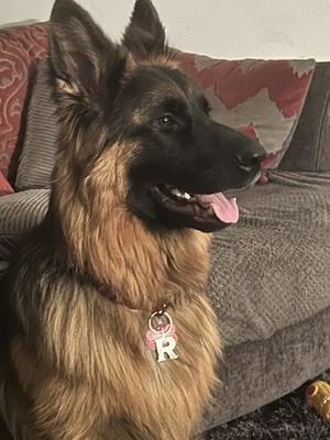 Fotos del artículo de un comprador verificado