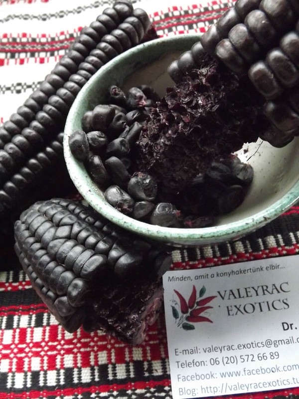 Morado Sweetcorn - MaÃ¯S - MaÃ¯S - 25+ Graines - Violet Et Comestible ! Zm 019