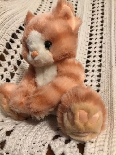 First Main KIT KAT Cat Orange Tabby Tiger Kitty Kitten 8