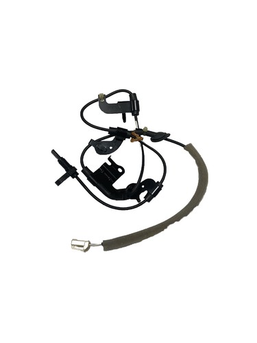 侘助 $_12.JPG?set_id=880000500F