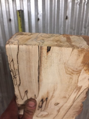 Spalted White Ash Kiln Dried Slab Live Edge Turning Blank Decorative Accent Wood