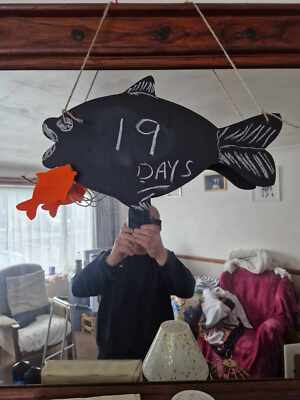 Artikelfoto(s) von einem verifizierten Käufer