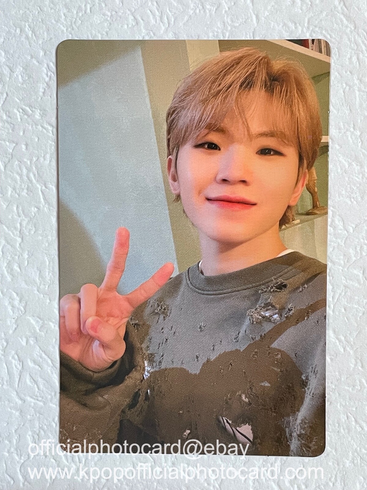 SEVENTEEN - モエ SEVENTEEN Album SECTOR 17 COMPACT Ver. Mingyu Woonwoo Hoshi