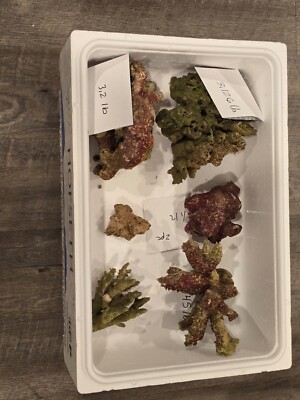 Rare Live rocks 11 Lbs RareMarine Saltwater Fish Tank Aquarium Reef From MANADO 