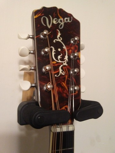 Vega VM-30 Round Hole 2 Point Mandolin with Hard Case