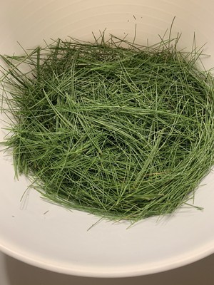Fresh Eastern White Pine Needles 1 Oz Fresh Pick To Order