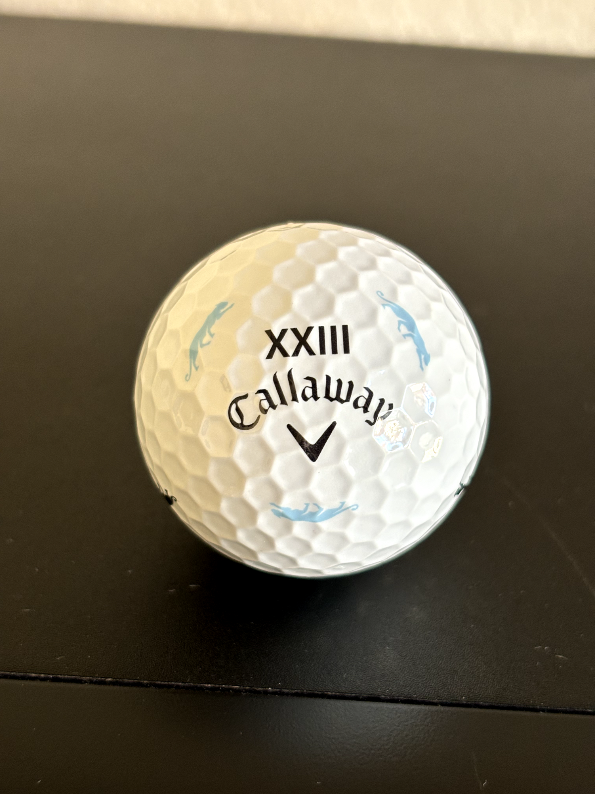 Ball - Michael Jordan Grove 23