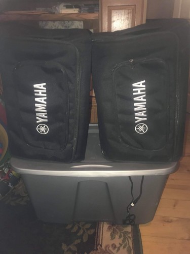 Two (2) Yamaha DXR10 10