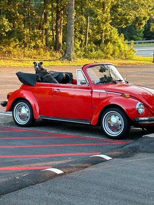 unclassified image 10