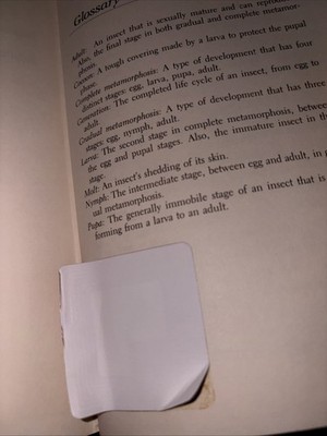 Objectfoto('s) van geverifieerde koper