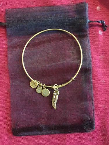 Alex and Ani Feather Rafaelian Gold Finish Charm Bangle Bracelet Crystal