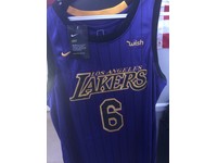 lakers snakeskin jersey
