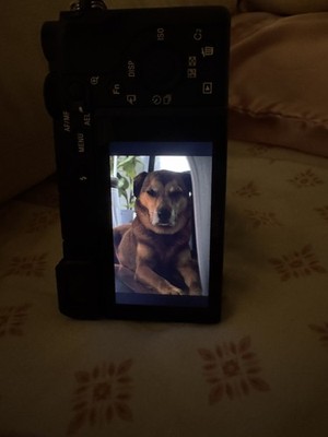 Artikelfoto(s) von einem verifizierten Käufer