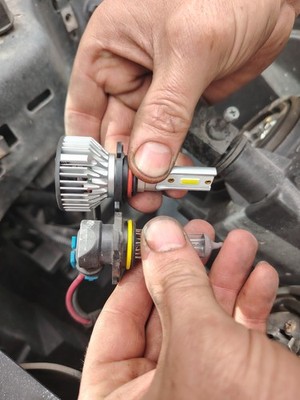 Fotos del artículo de un comprador verificado