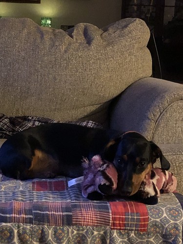 Artikelfoto(s) von einem verifizierten Käufer