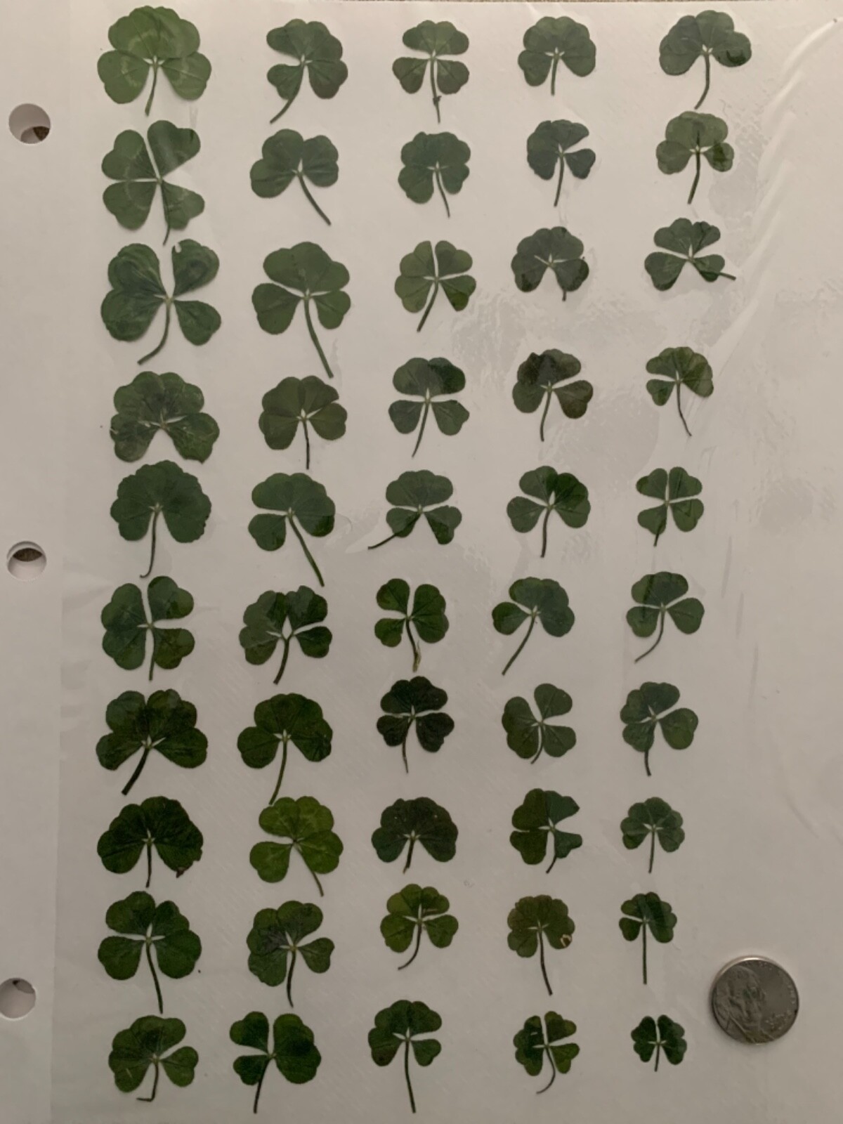 four leaf clover様 リクエスト 3点 まとめ商品 four leaf clover様 リクエスト 3点 まとめ商品